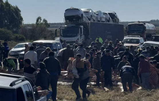 Entre Ríos: Saquearon un camión cargado de carne que volcó 