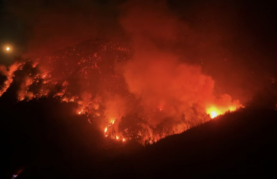 El Gobierno vincula los incendios forestales a la existencia de grupos mapuches