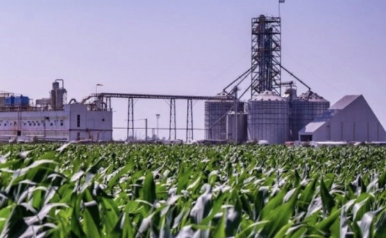 El Gobierno nacional fijó los nuevos precios del sector