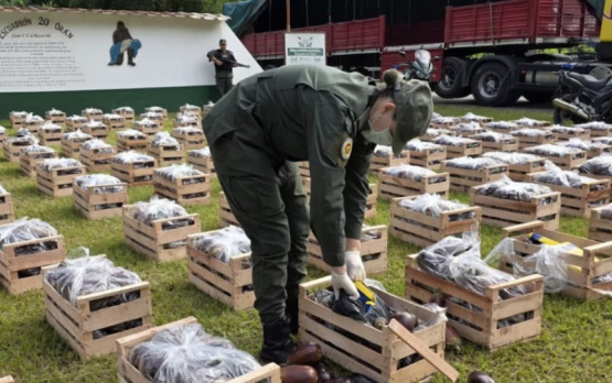Traficaban 31 kilos de cocaína ocultos en cajones de berenjenas
