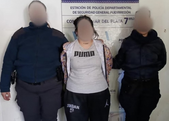 Mar del Plata: Nueve robos y entraderas en dos semanas
